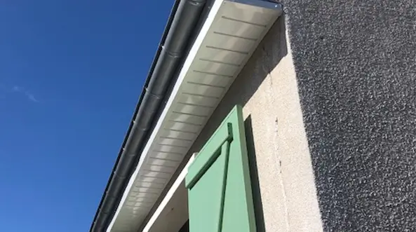 Pose, réparation de gouttière et cache-moineaux 2