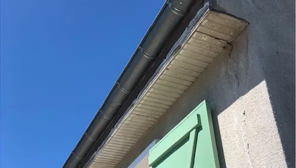 Pose, réparation de gouttière et cache-moineaux 1
